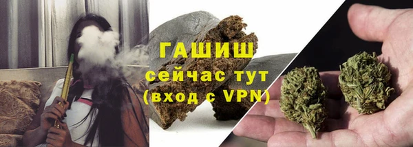 гашик Алексин