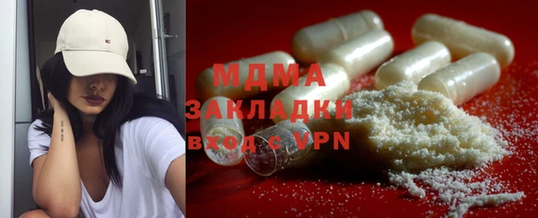 гашик Алексин