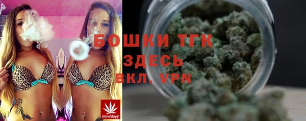 гашик Алексин