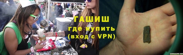гашик Алексин