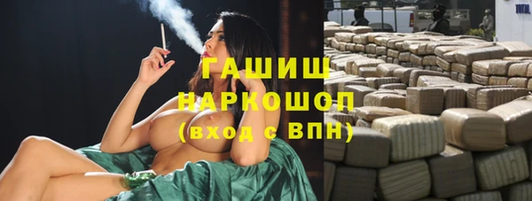 гашик Алексин