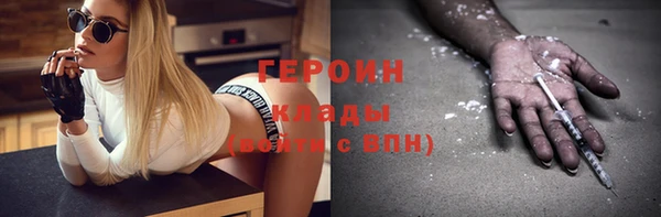 гашик Алексин