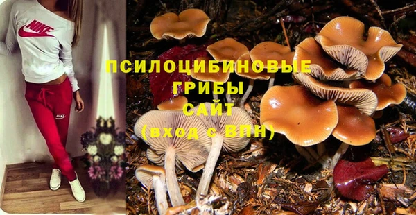 jwh Алзамай