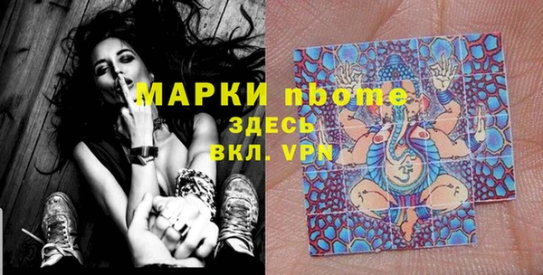 гашик Алексин