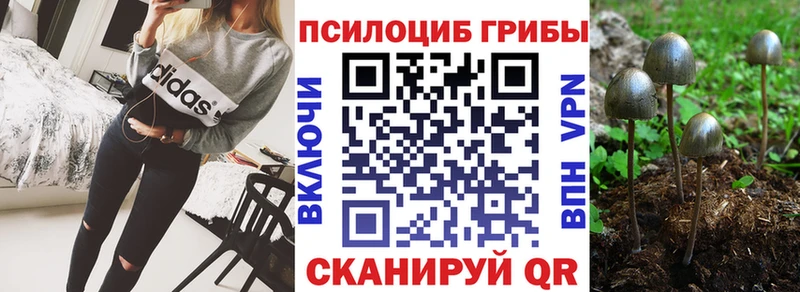 цены   Нелидово  Псилоцибиновые грибы мицелий 